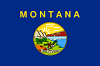MT Flag