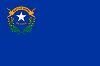 NV Flag